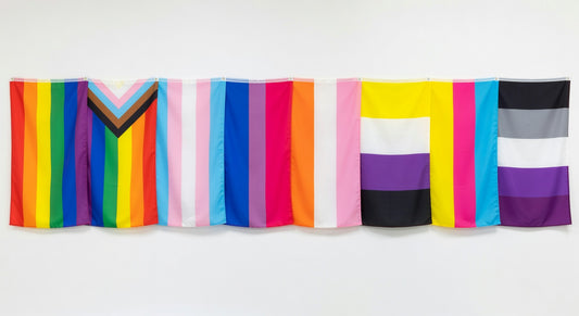 Row of different pride flags displayed on a wall including rainbow, progress, transgender, bisexual, non-binary, and pansexual flags
