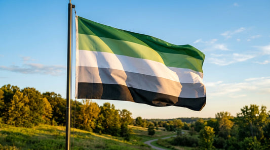 The Aromantic Pride Flag: Meaning, Colors, and History